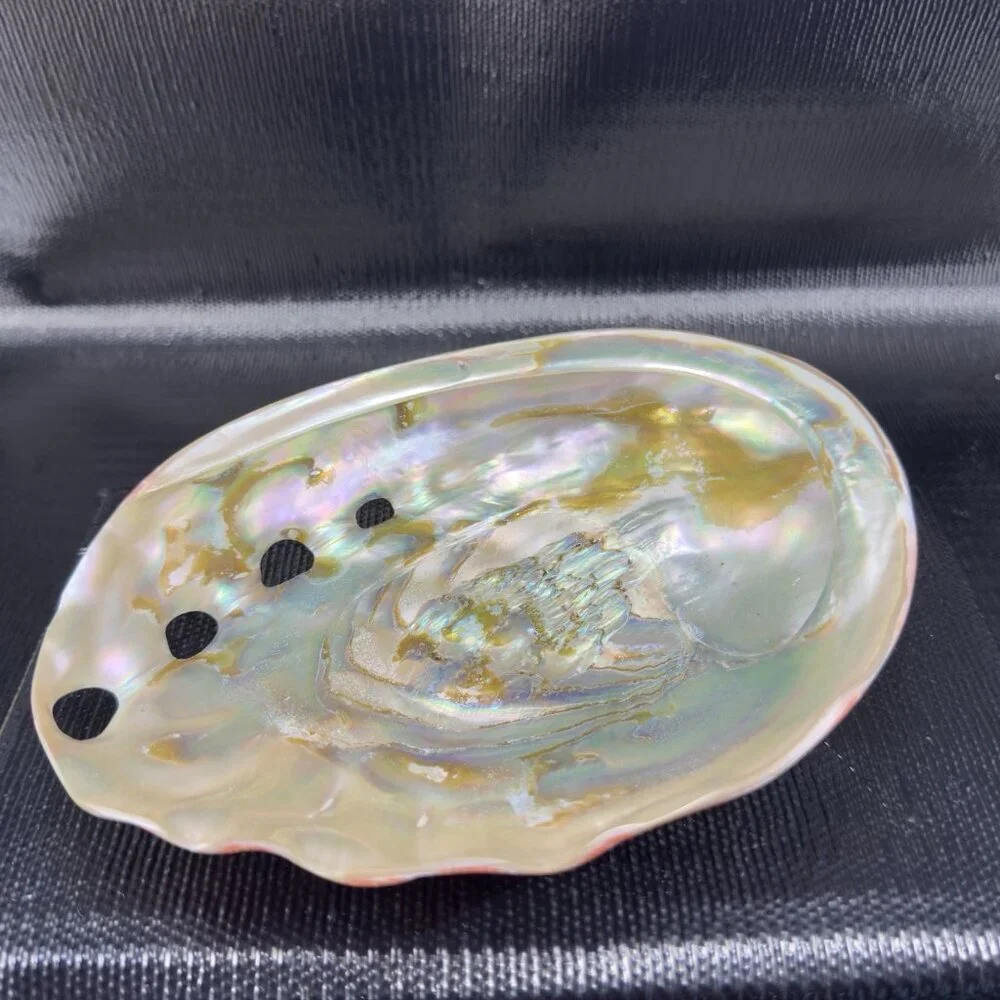 Natural Abalone Shell Large Dish Bowl Container Trinket Holder Iridescent Smooth